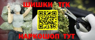 индика Новодвинск