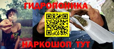 индика Новодвинск