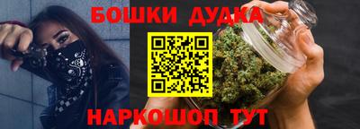 индика Новодвинск