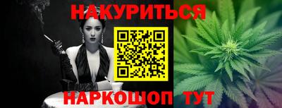 индика Новодвинск