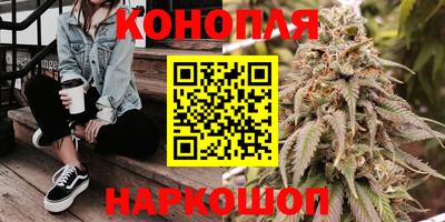 PSILOCYBIN Новозыбков